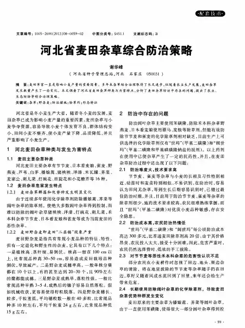 河北省麦田杂草综合防治策略