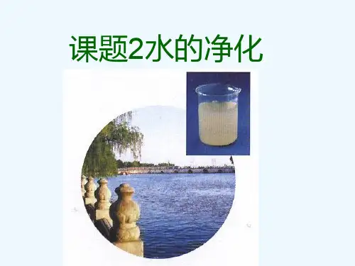 第一节水的净化