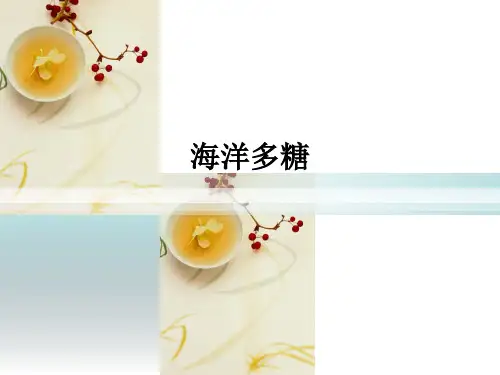 海洋多糖ppt课件