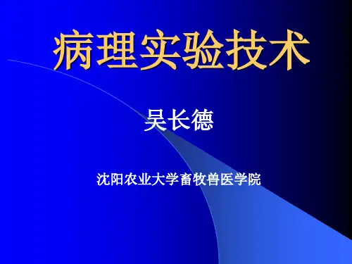 病理实验技术