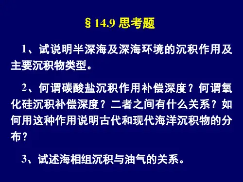 14-9半深海及深海相(沉积岩与沉积相)解析