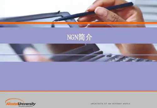 ngn 简介-最终版