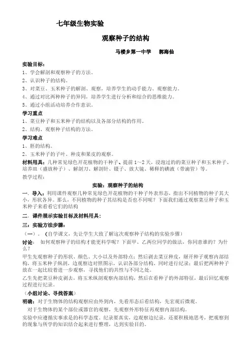 观察种子结构的教案2
