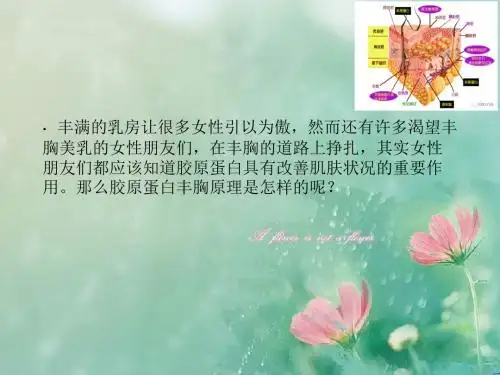 莱佰利:胶原蛋白丰胸原理简介