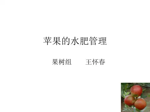 苹果的水肥管理.ppt