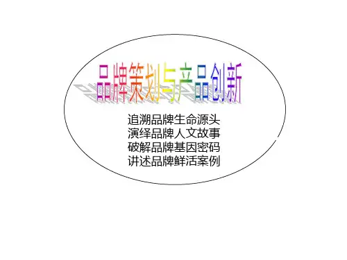 两天版品牌策划与产品创新提纲