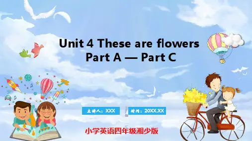 湘少版三起英语四年级上册Unit 4 These are flowers PartA-PartC课件