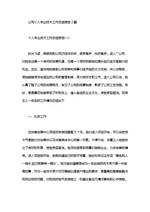 公司个人专业技术工作总结报告2篇汇总