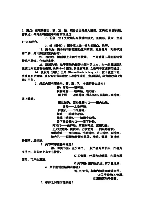 解剖名词解释 2