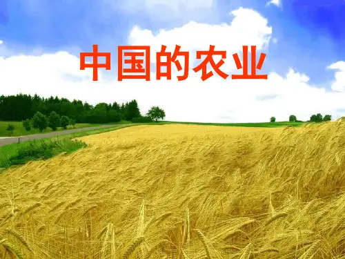 XXXX年4月13日中国农业课件上课