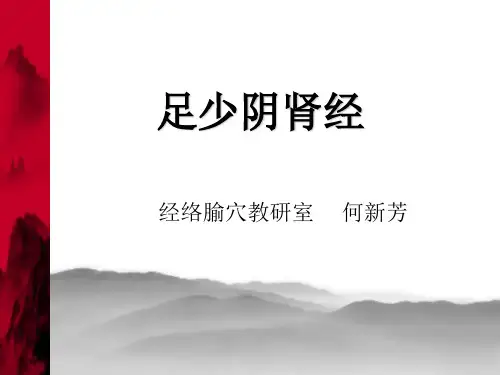 第十章 足少阴肾经