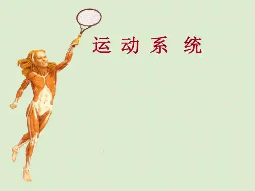 3[1].骨和骨连结