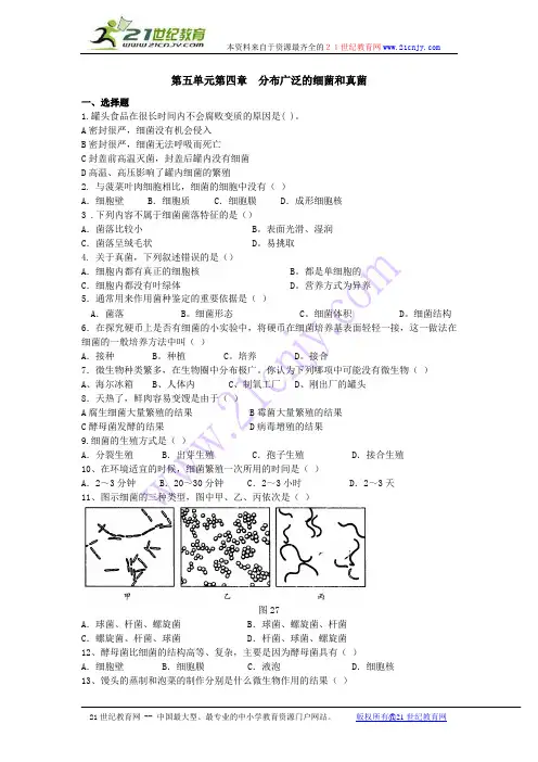 生物：第五单元第四章 分布广泛的细菌和真菌复习检测题(人教版八年级上)