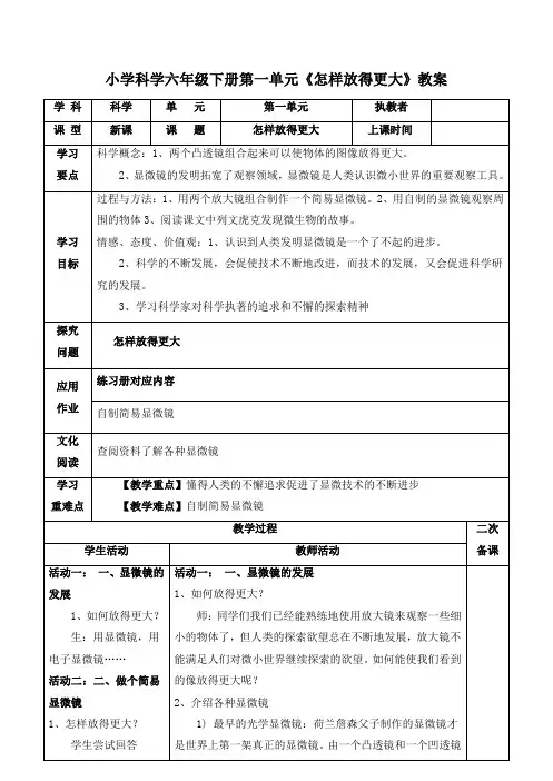 小学科学六年级下册第一单元《怎样放得更大》教案