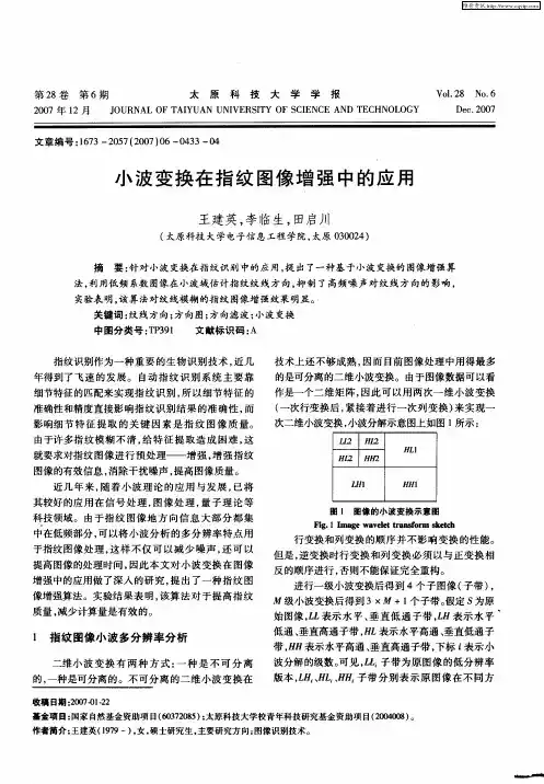 小波变换在指纹图像增强中的应用