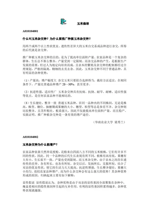 玉米育种问答