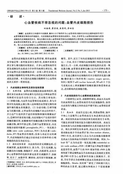 心血管疾病不容忽视的问题：血管内皮细胞损伤
