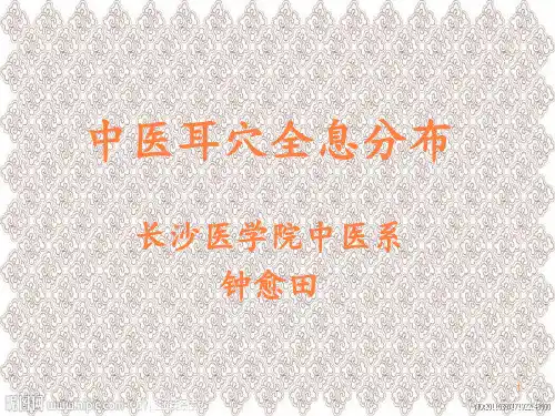 中医耳穴全息分布ppt课件