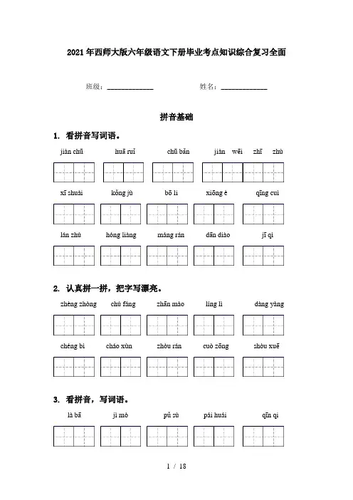 2021年西师大版六年级语文下册毕业考点知识综合复习全面