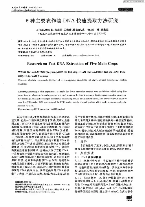 5种主要农作物DNA快速提取方法研究