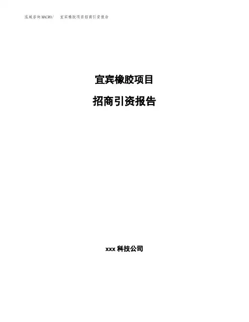 宜宾橡胶项目招商引资报告