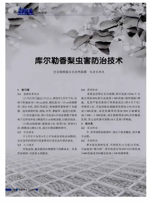 库尔勒香梨虫害防治技术