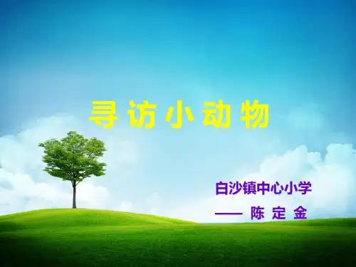 三年级上册科学第七课《寻访小动物》课件