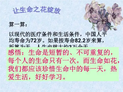 让生命之花绽放ppt275650