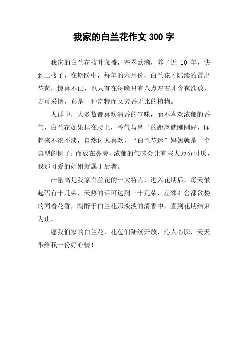 我家的白兰花作文300字