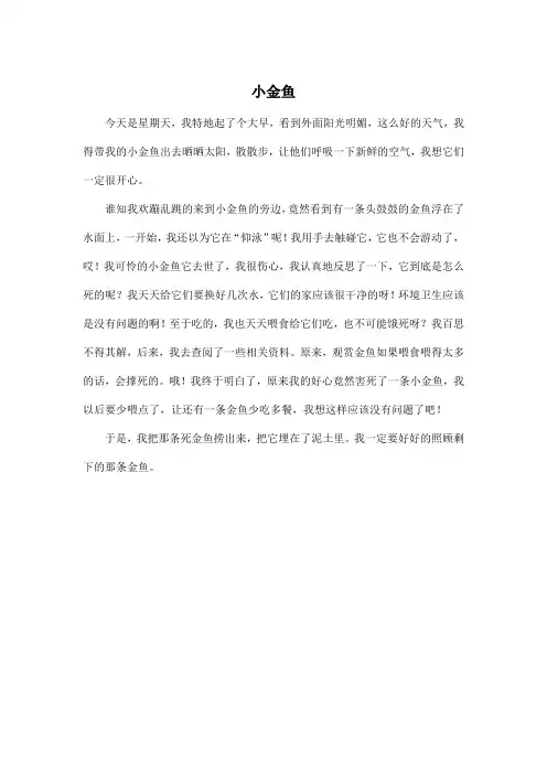 小金鱼_小学三年级作文300字