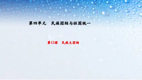 八年级历史下册第12课 民族大团结 (2)ppt课件(新人教版)