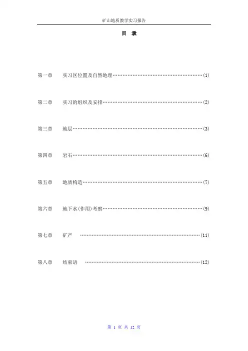 巢湖地质实习报告