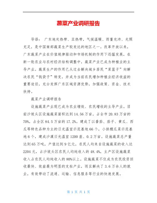 蔬菜产业调研报告