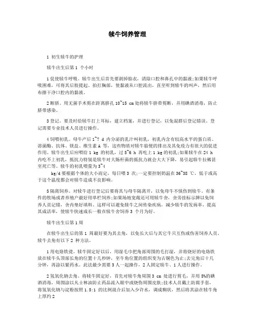 犊牛饲养管理