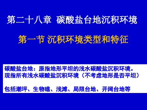 28章 碳酸盐台地沉积
