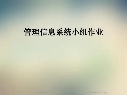 管理信息系统小组作业[1]