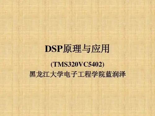 C54X 绪论
