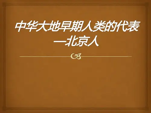 中华书局版七年级历史上册《中华大地早期人类的代表—北京人》PPT课件(3篇)