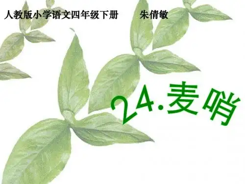 24.麦哨