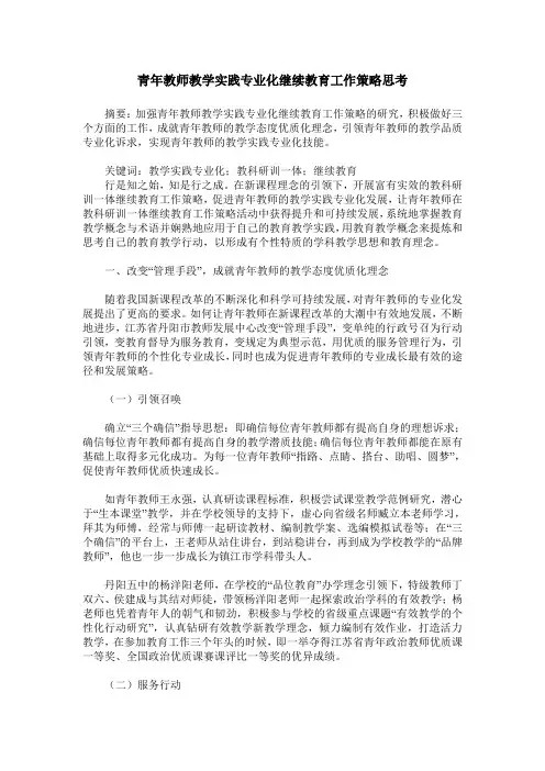 青年教师教学实践专业化继续教育工作策略思考