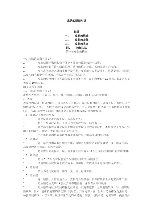 皮肤基础知识