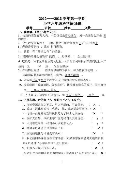 粤教版六年级上册科学试题