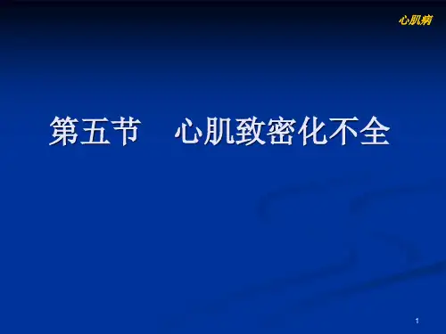 【心脏彩超】2-7-5特异型心肌病