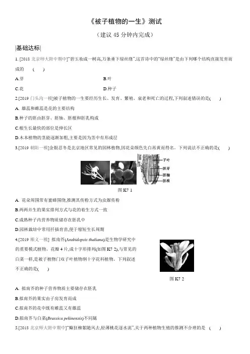 《被子植物的一生》测试