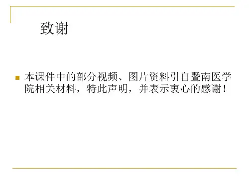 局部解剖学课件：头部