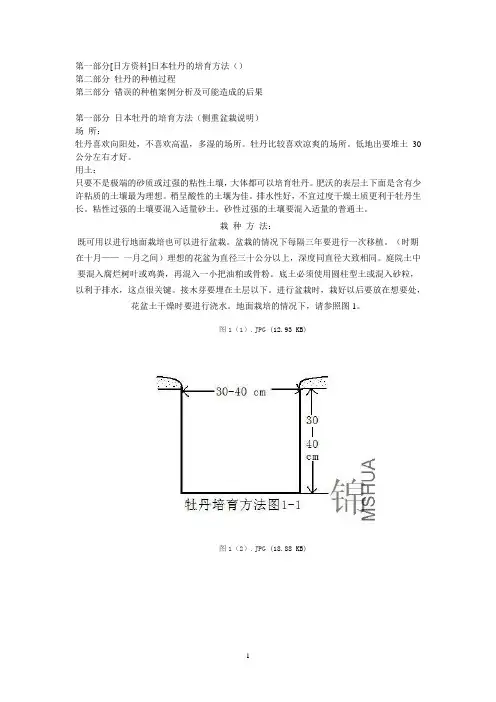盆栽牡丹种植技术
