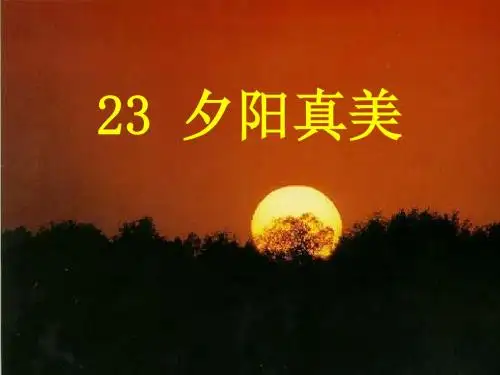 小学语文 《夕阳真美》