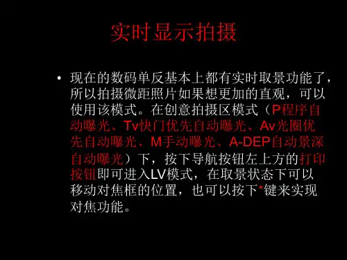 实时显示拍摄功能