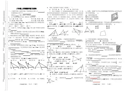 最新人教版八年级数学上册专题练习复习资料(精品)