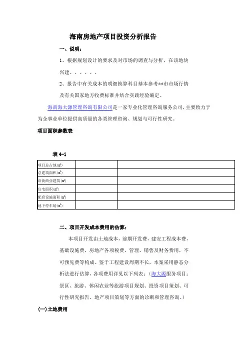 海南房地产项目投资分析报告